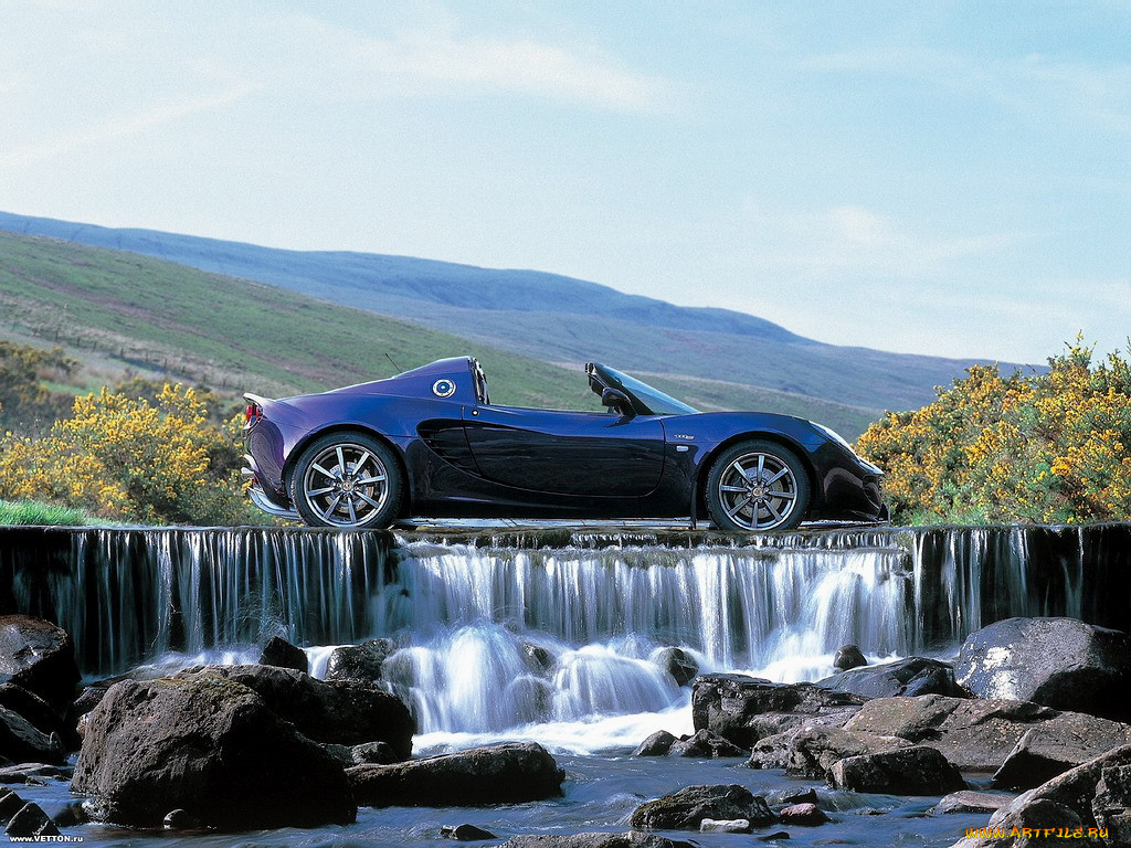 , lotus